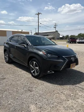 Black 2018 Lexus NX 300 Base for sale in Abilene, TX