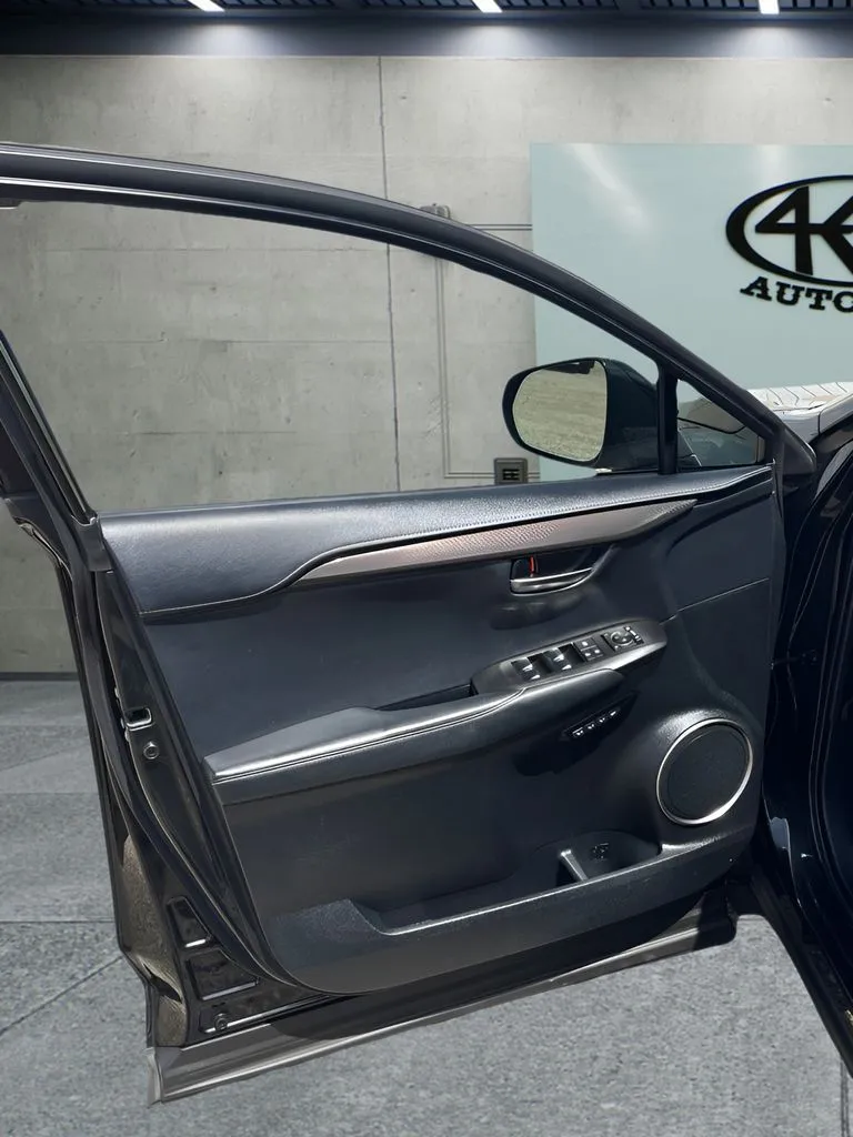 Lexus NX photo 12