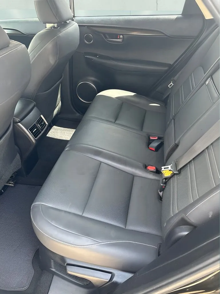 Lexus NX photo 15