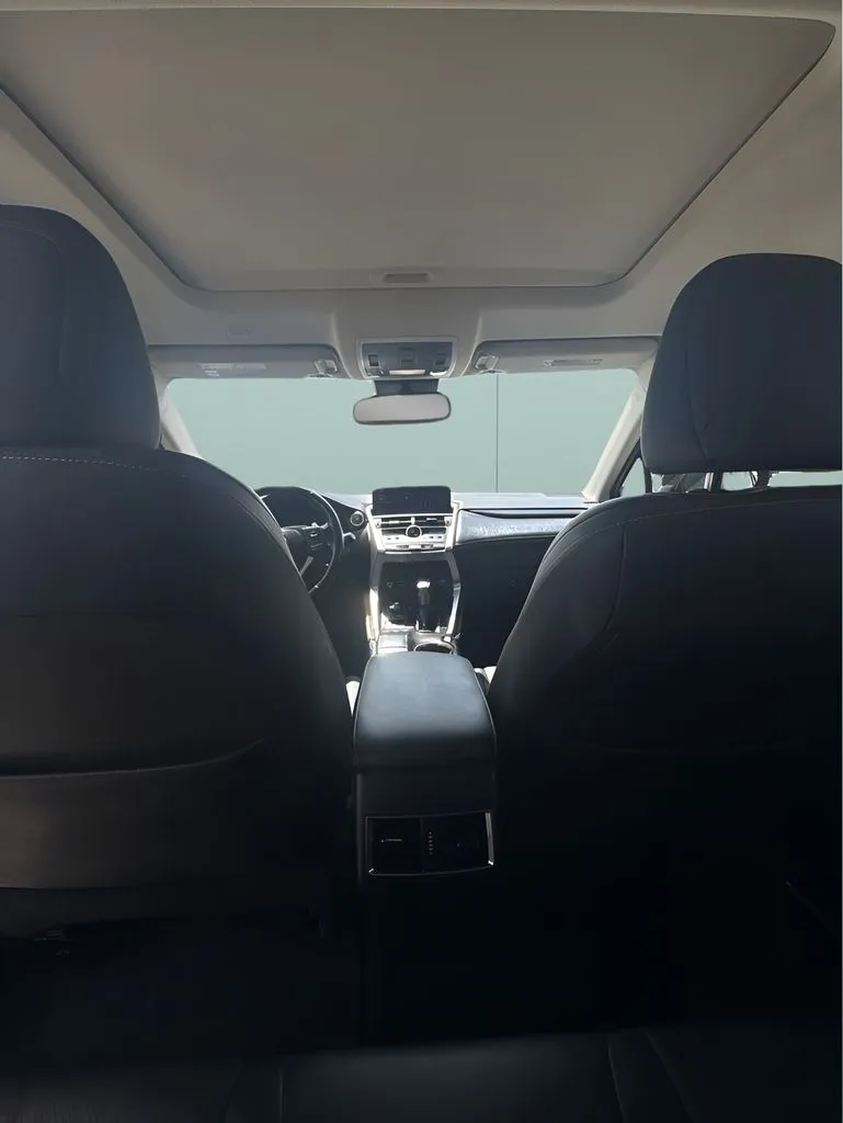 Lexus NX photo 20