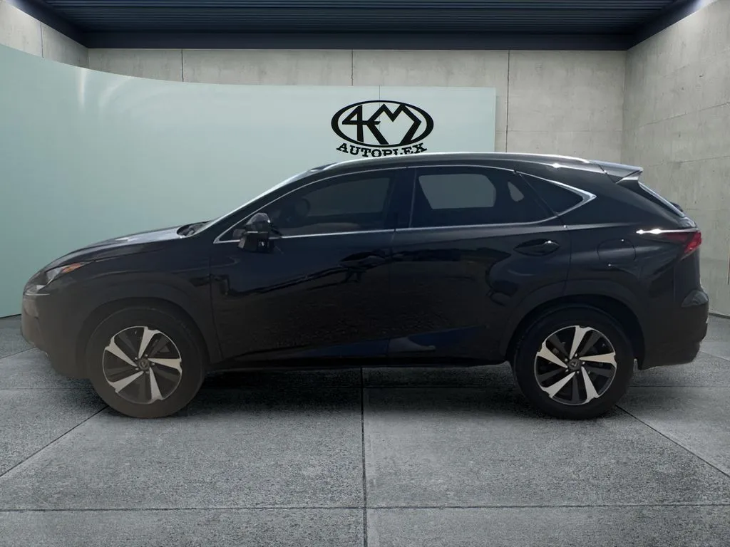 Lexus NX photo 6