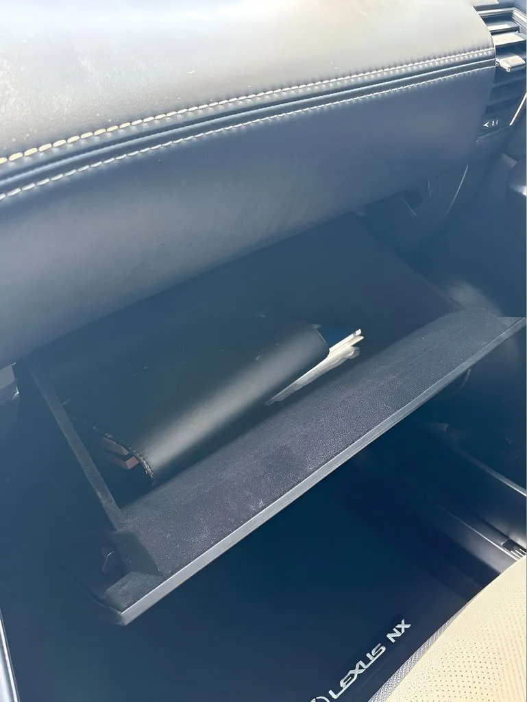 Lexus NX photo 27