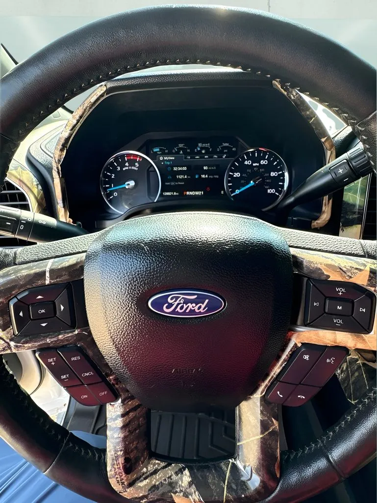 Ford F-250SD photo 24