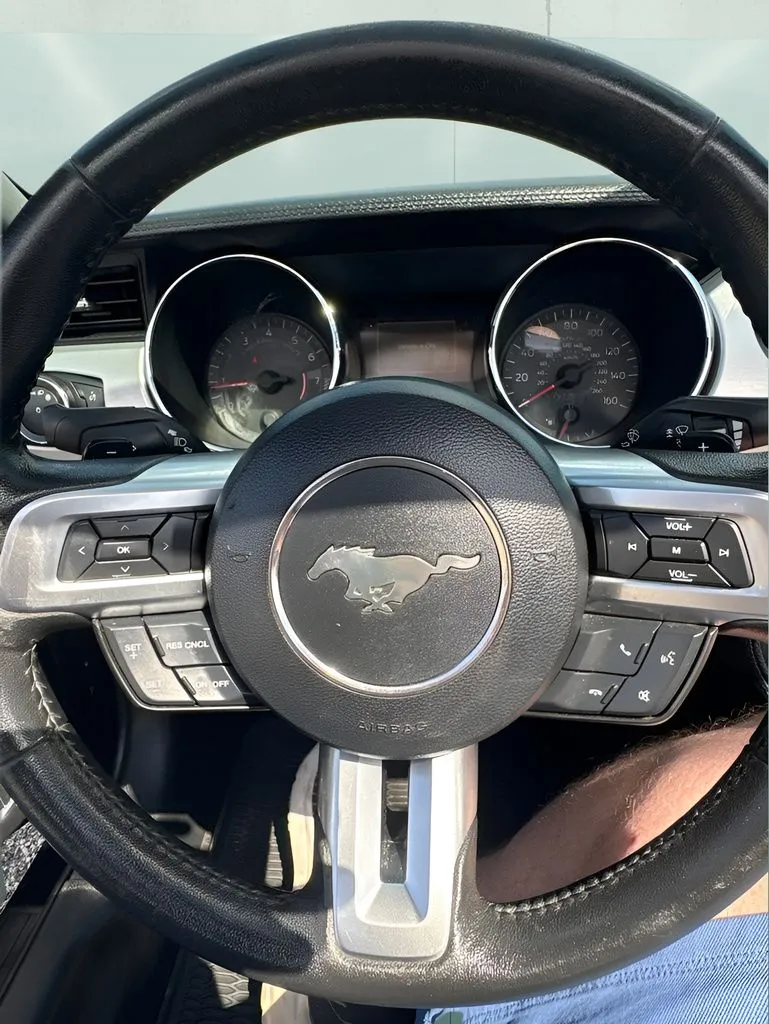 Ford Mustang photo 19