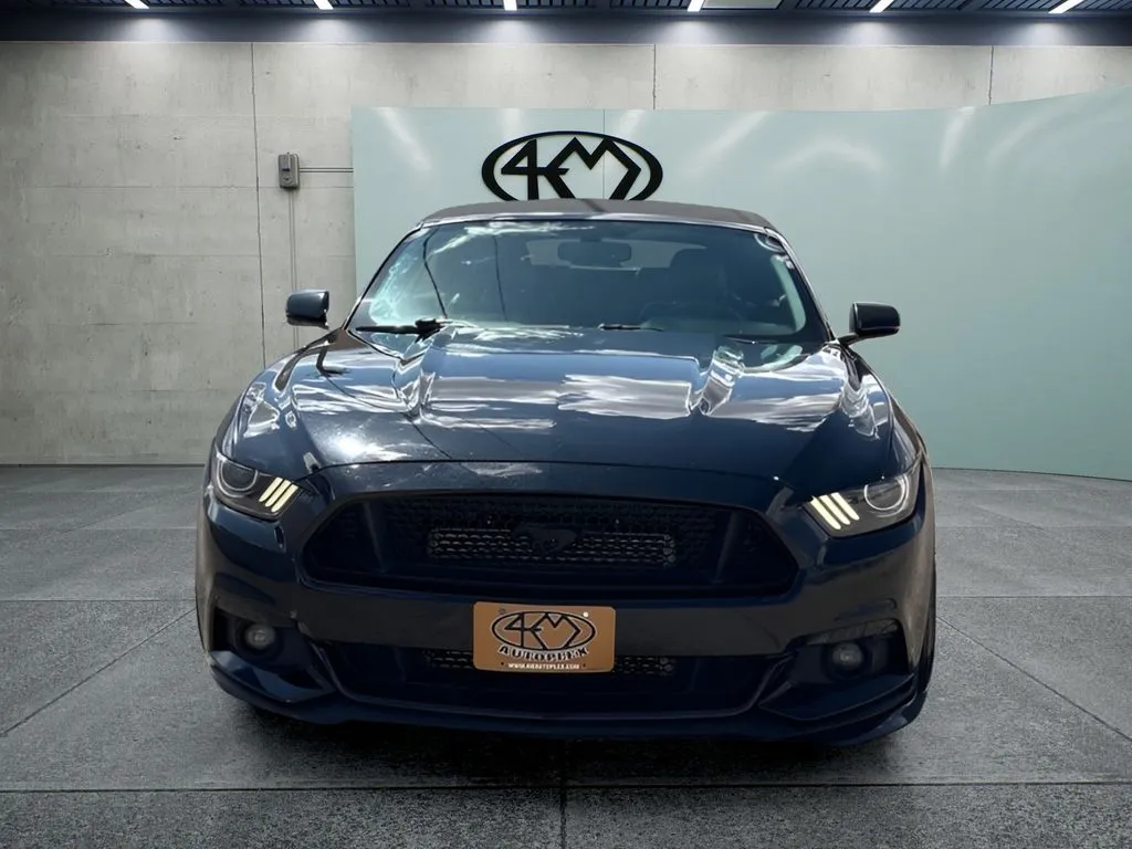 Ford Mustang photo 8
