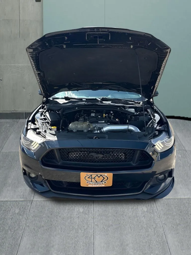 Ford Mustang photo 10