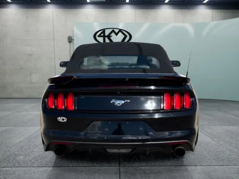 More photos of 2017 Ford Mustang EcoBoost Premium at 4M Autoplex - Industrial Blvd, TX