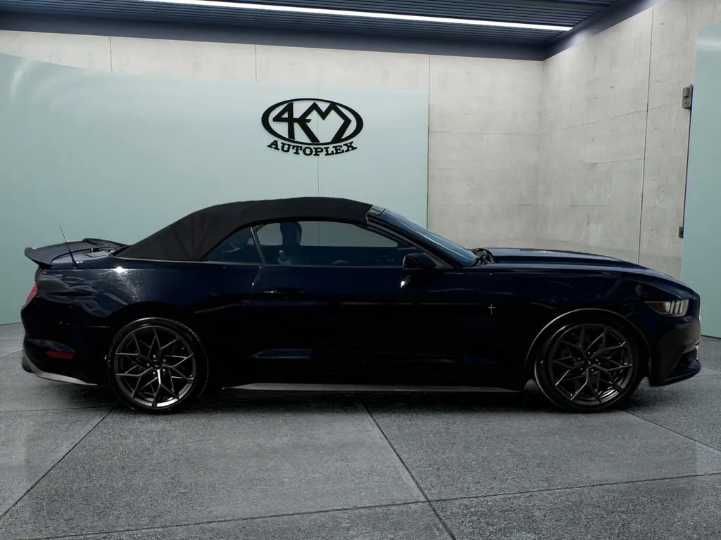 Ford Mustang photo 2