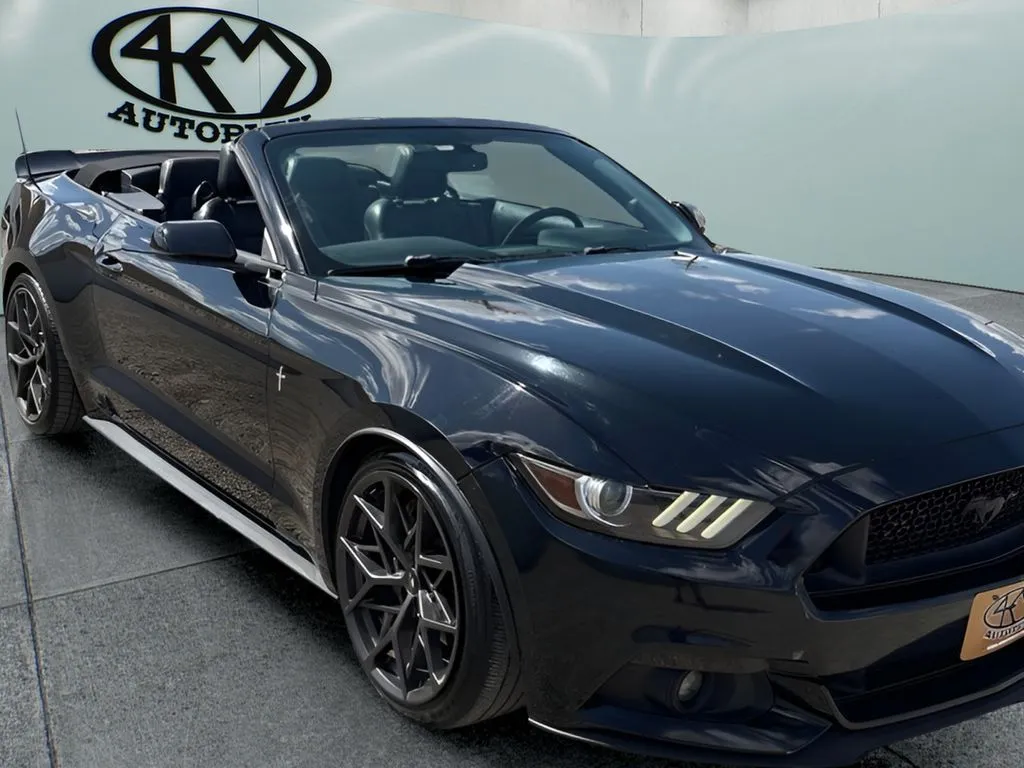Ford Mustang photo 9