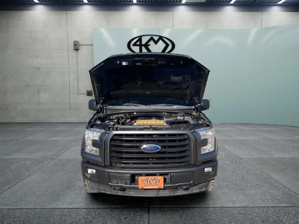 Ford F-150 photo 9