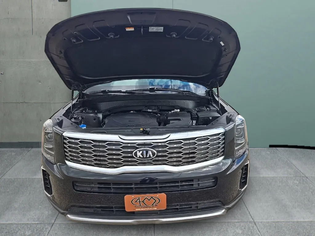 Kia Telluride photo 10