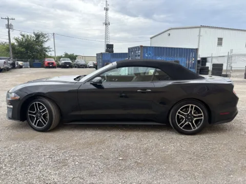 More photos of 2021 Ford Mustang EcoBoost Premium at 4M Autoplex, TX