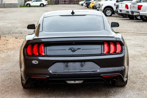 More photos of 2022 Ford Mustang EcoBoost at 4M Autoplex - Industrial Blvd, TX
