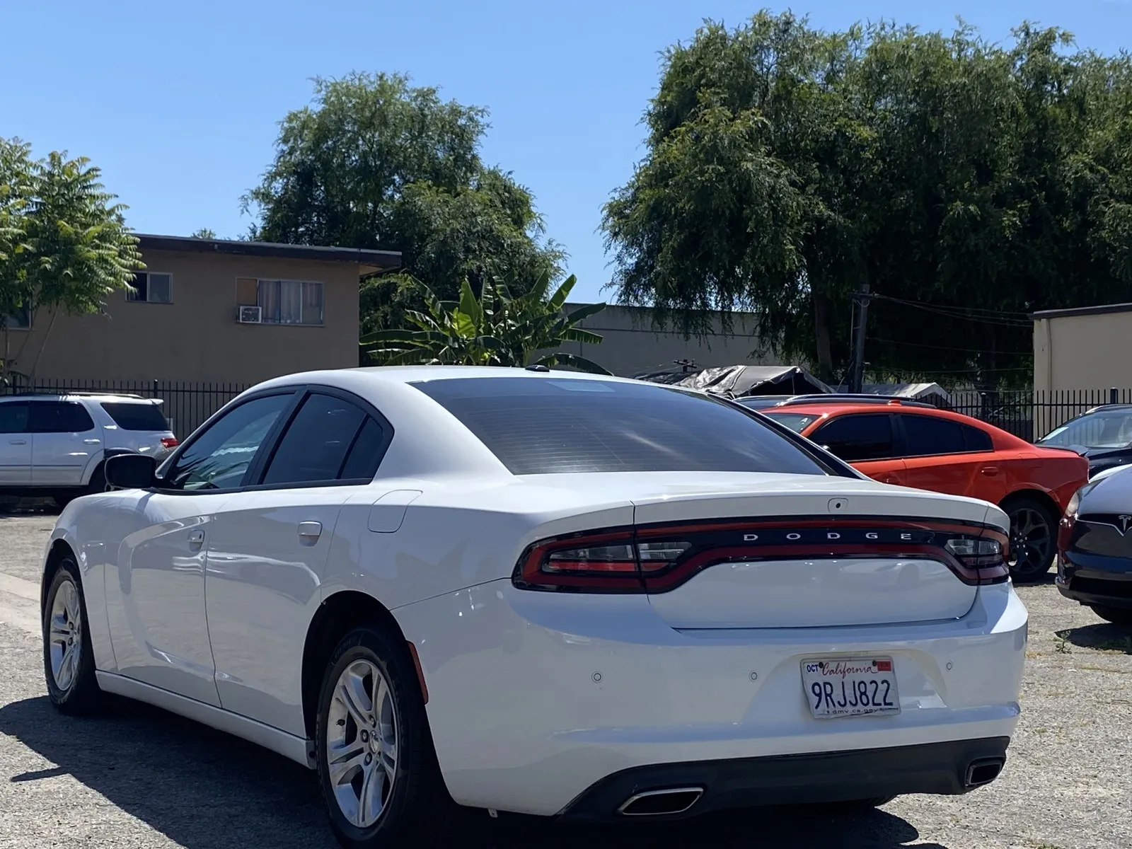 Dodge Charger photo 2