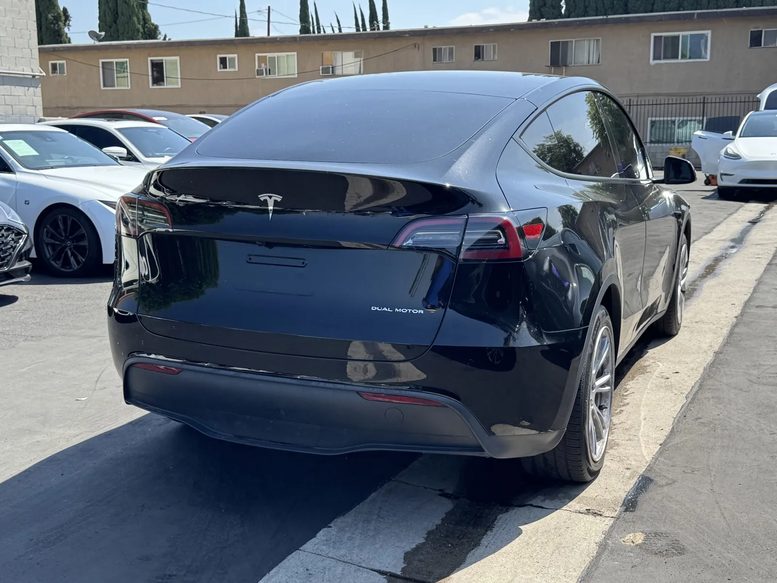 Tesla Model Y photo 4