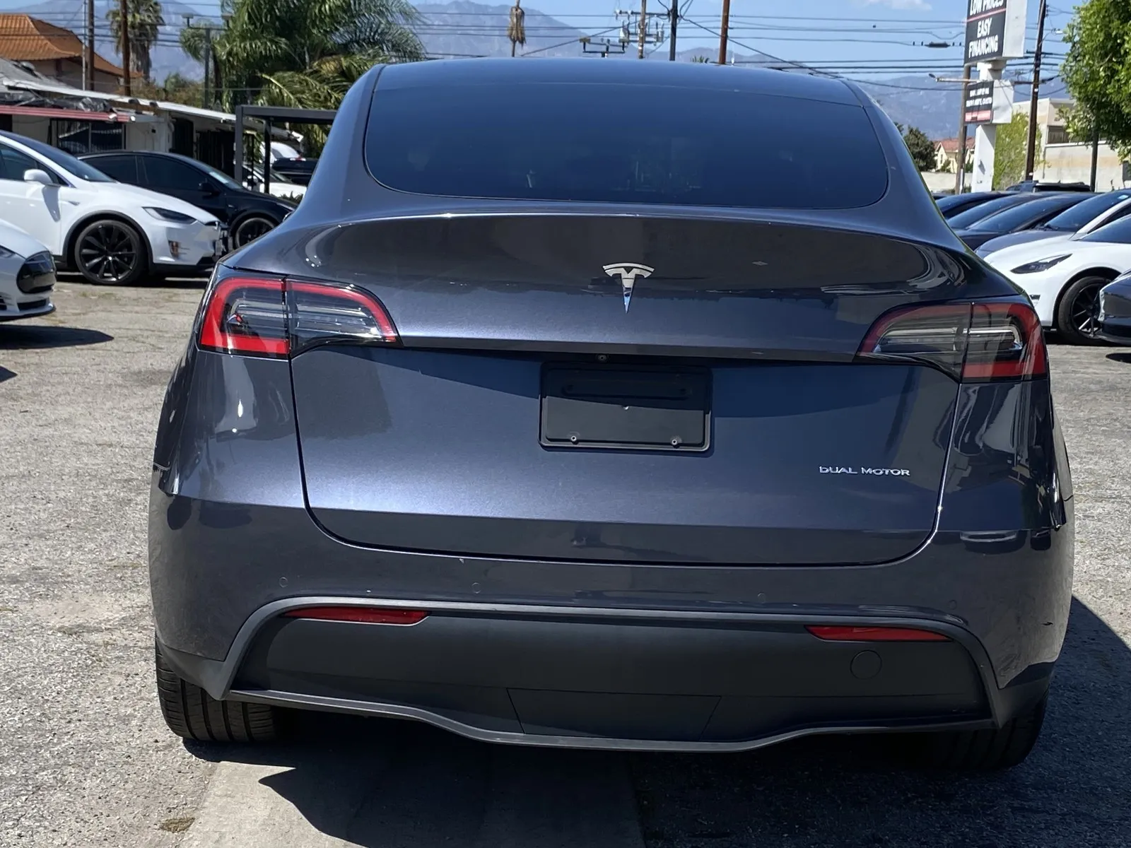 Tesla Model Y photo 3