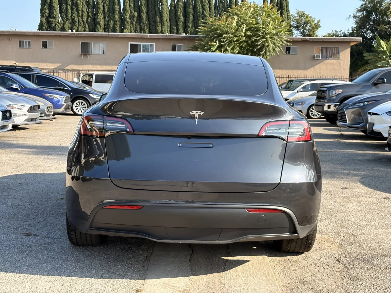 Tesla Model Y photo 3