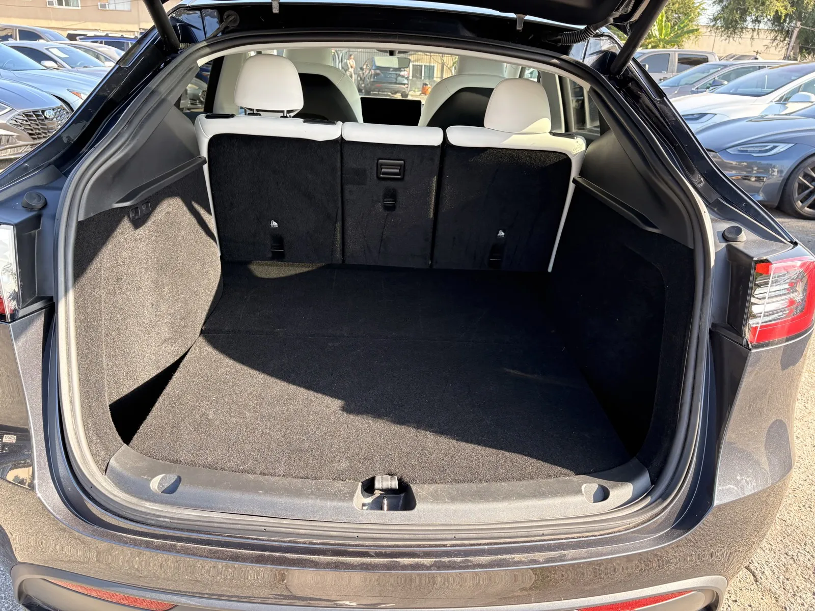 Tesla Model Y photo 8