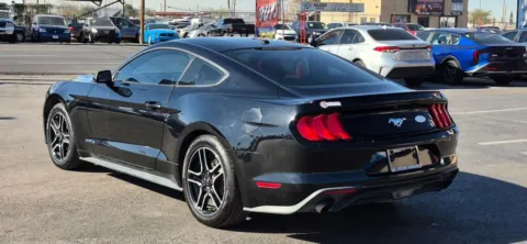 More photos of 2019 Ford Mustang EcoBoost Coupe 2D at Best Deal Auto Group, TX