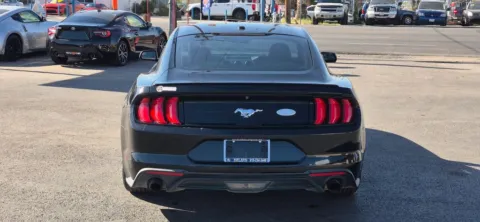 More photos of 2019 Ford Mustang EcoBoost Coupe 2D at Best Deal Auto Group, TX