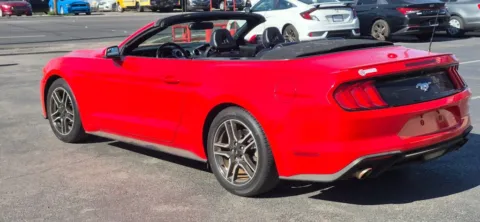 More photos of 2019 Ford Mustang EcoBoost Premium Convertible 2D at Best Deal Auto Group, TX