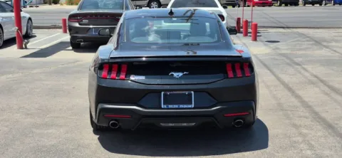 More photos of 2024 Ford Mustang EcoBoost Premium Coupe 2D at Best Deal Auto Group, TX
