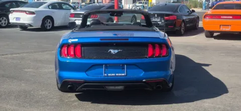 More photos of 2021 Ford Mustang EcoBoost Premium Convertible 2D at Best Deal Auto Group, TX