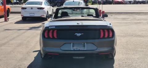 More photos of 2019 Ford Mustang EcoBoost Premium Convertible 2D at Best Deal Auto Group, TX