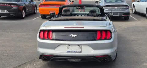 More photos of 2019 Ford Mustang EcoBoost Premium Convertible 2D at Best Deal Auto Group, TX