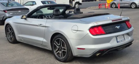 More photos of 2019 Ford Mustang EcoBoost Premium Convertible 2D at Best Deal Auto Group, TX