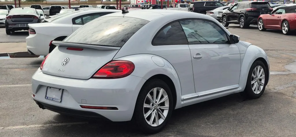 Volkswagen Beetle photo 5