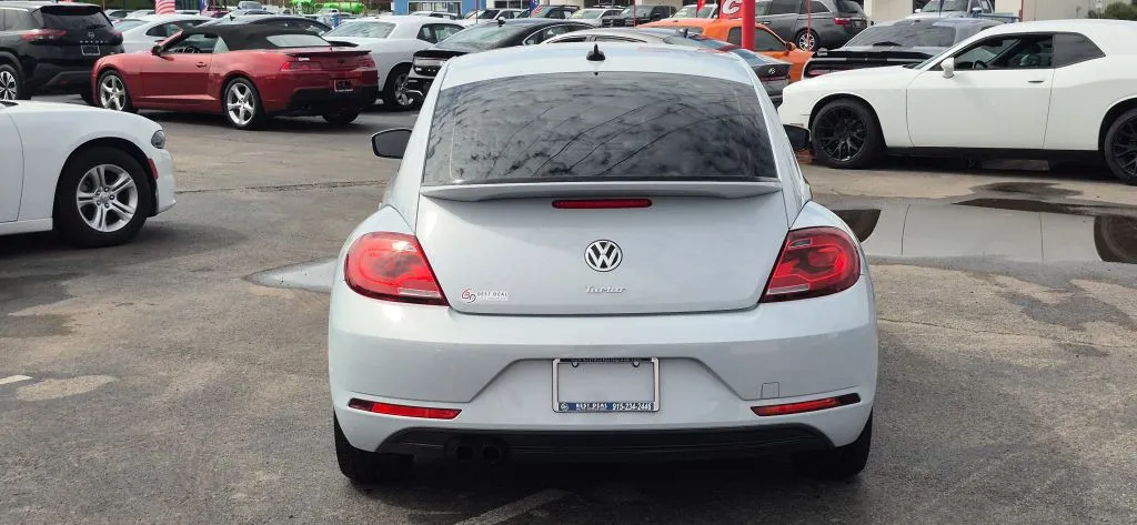 Volkswagen Beetle photo 4