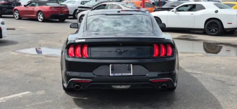 More photos of 2019 Ford Mustang EcoBoost Coupe 2D at Best Deal Auto Group, TX