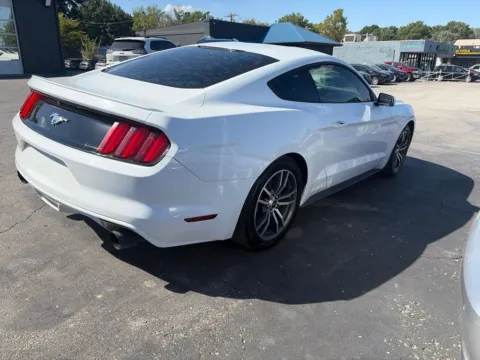 More photos of 2016 Ford Mustang EcoBoost at MAG Auto - Munsterman Automotive Group, MO
