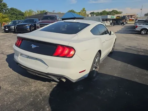 More photos of 2020 Ford Mustang EcoBoost at MAG Auto - Munsterman Automotive Group, MO