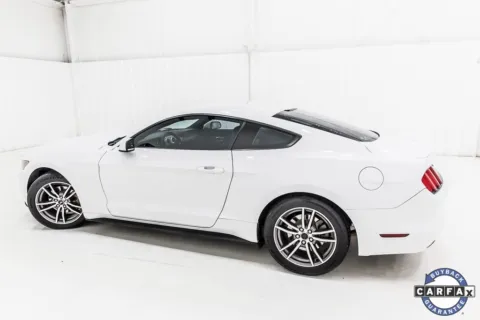 More photos of 2017 Ford Mustang EcoBoost at Sign It Drive It, TX