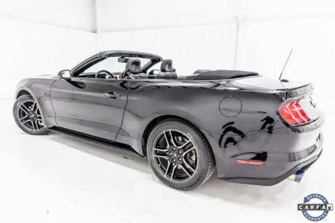 More photos of 2019 Ford Mustang EcoBoost Premium at Sign It Drive It, TX