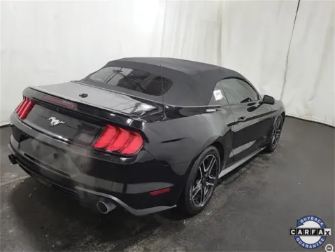 More photos of 2019 Ford Mustang EcoBoost Premium at Sign It Drive It, TX