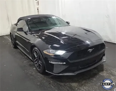 More photos of 2019 Ford Mustang EcoBoost Premium at Sign It Drive It, TX