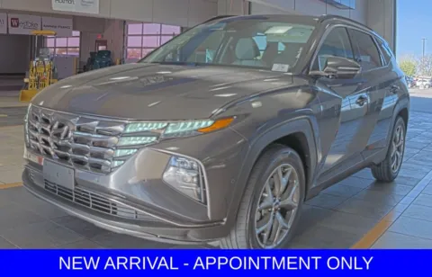 Gray 2023 Hyundai Tucson Limited for sale in Denton, TX