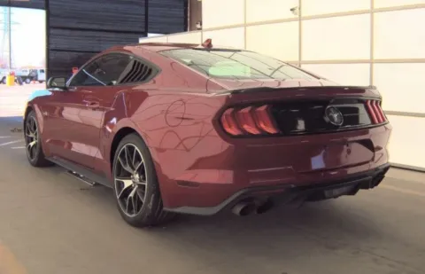 More photos of 2020 Ford Mustang EcoBoost at Sign It Drive It, TX