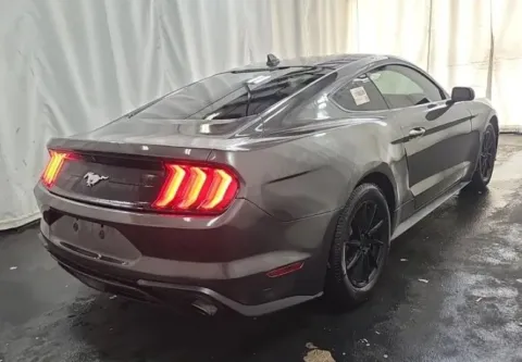 More photos of 2020 Ford Mustang EcoBoost at Sign It Drive It, TX