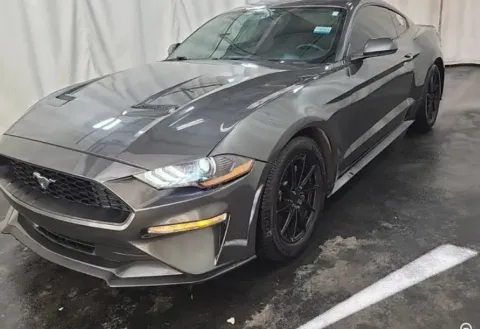 Gray 2020 Ford Mustang EcoBoost for sale in Denton, TX