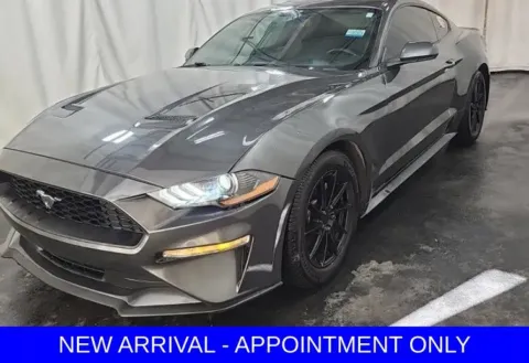 Gray 2020 Ford Mustang EcoBoost for sale in Denton, TX