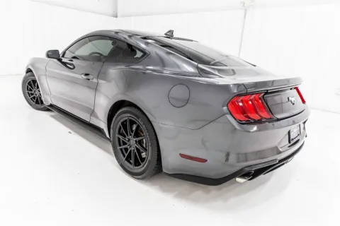 More photos of 2020 Ford Mustang EcoBoost at Sign It Drive It, TX