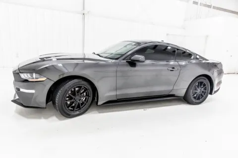 More photos of 2020 Ford Mustang EcoBoost at Sign It Drive It, TX