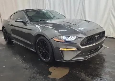 More photos of 2020 Ford Mustang EcoBoost at Sign It Drive It, TX