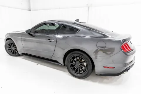More photos of 2020 Ford Mustang EcoBoost at Sign It Drive It, TX