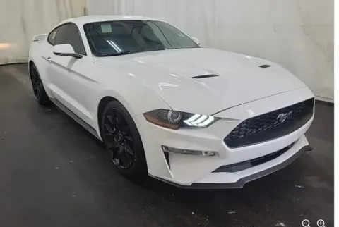 More photos of 2019 Ford Mustang EcoBoost Premium at Sign It Drive It, TX