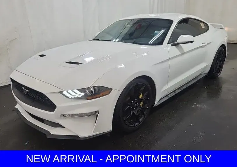 White 2019 Ford Mustang EcoBoost Premium for sale in Denton, TX